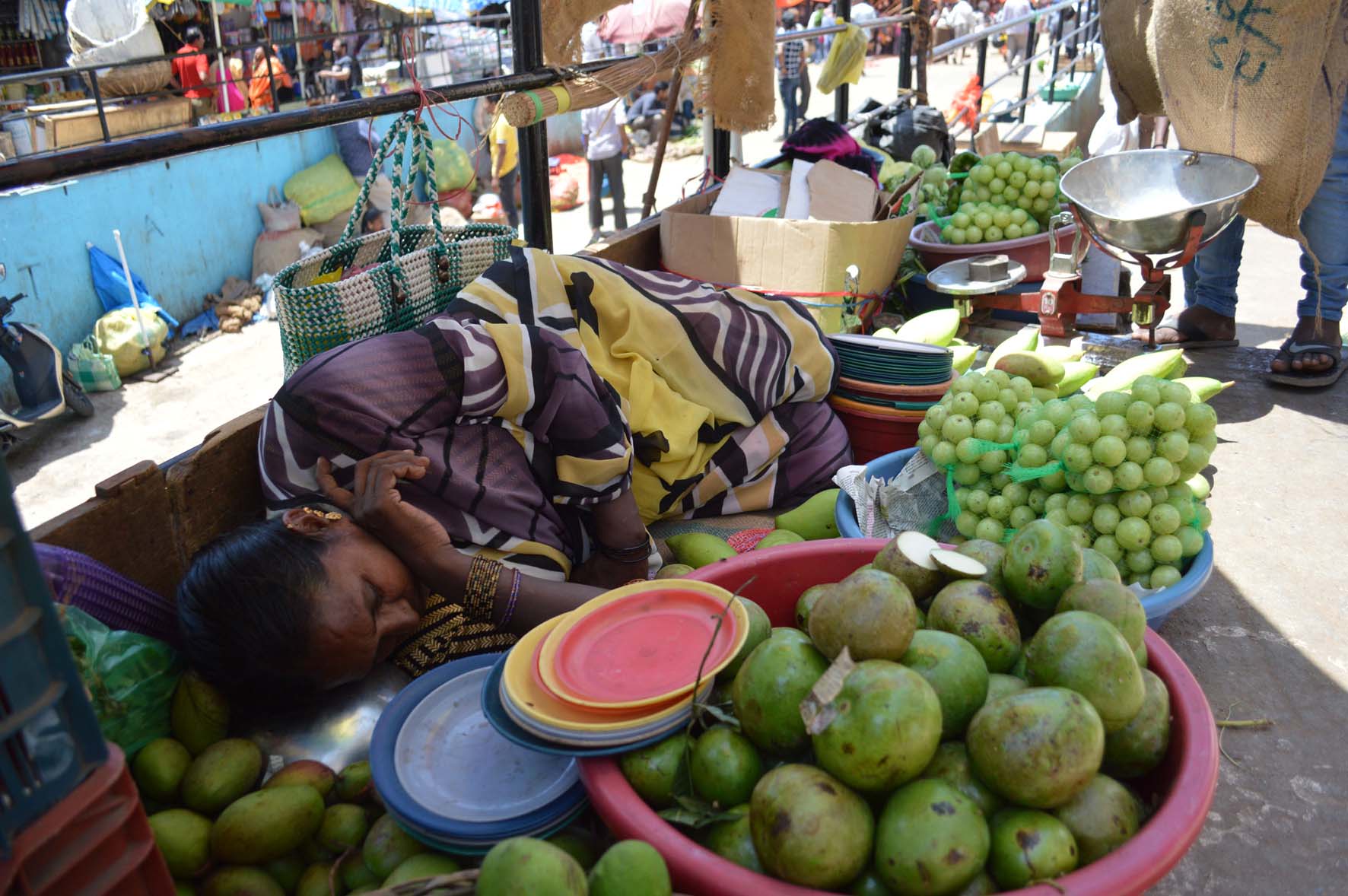 ಹೀಗಾದರೆ ನಾವು ಬದುಕುವುದು ಹೇಗೆ ?