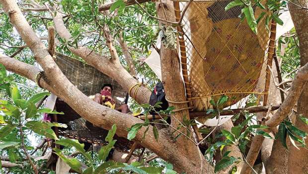 ಕೊರೋನ ಭೀತಿ: ಮಾವಿನ ಮರದ ಮೇಲೆ 7 ಕಾರ್ಮಿಕರ ಕ್ವಾರಂಟೈನ್ !