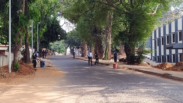 ಲೌಕ್‌ಡೌನ್ ನಡುವೆಯೂ ಇವರ ಕಾರ್ಯ ಶ್ಲಾಘನೀಯ!