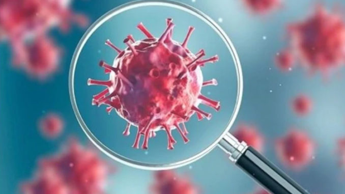 ಕಾಸರಗೋಡು : ಇಂದು ಇಬ್ಬರಲ್ಲಿ ಕೊರೋನ ಸೋಂಕು ದೃಢ