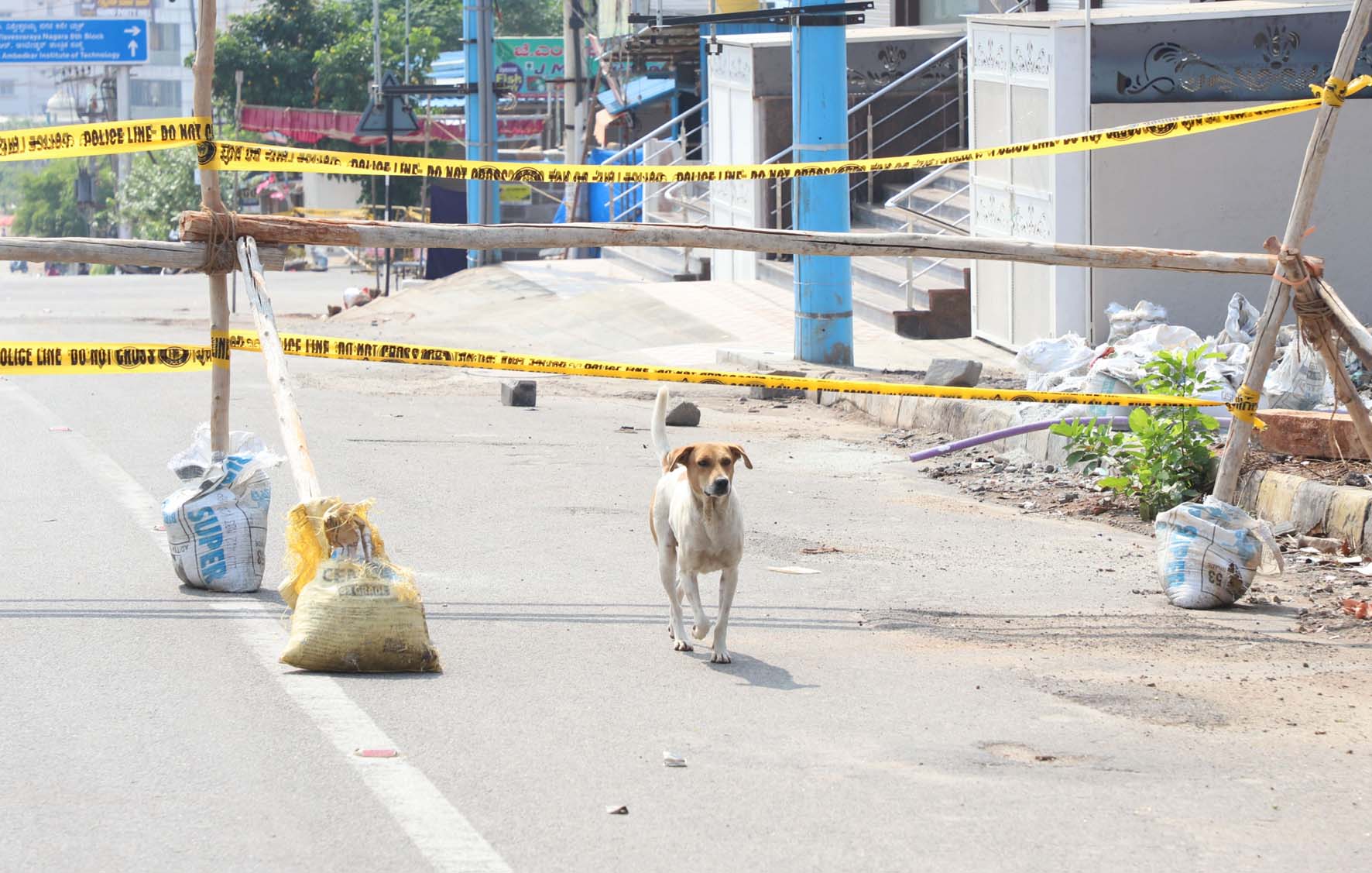 ಹೊಸಕೋಟೆ: ಮನೆಯಿಂದ ಹೊರಗೆ ಬಾರದಂತೆ ಬೈಲನರಸಾಪುರ ಗ್ರಾಮಸ್ಥರಿಗೆ ಜಿಲ್ಲಾಧಿಕಾರಿ ಆದೇಶ