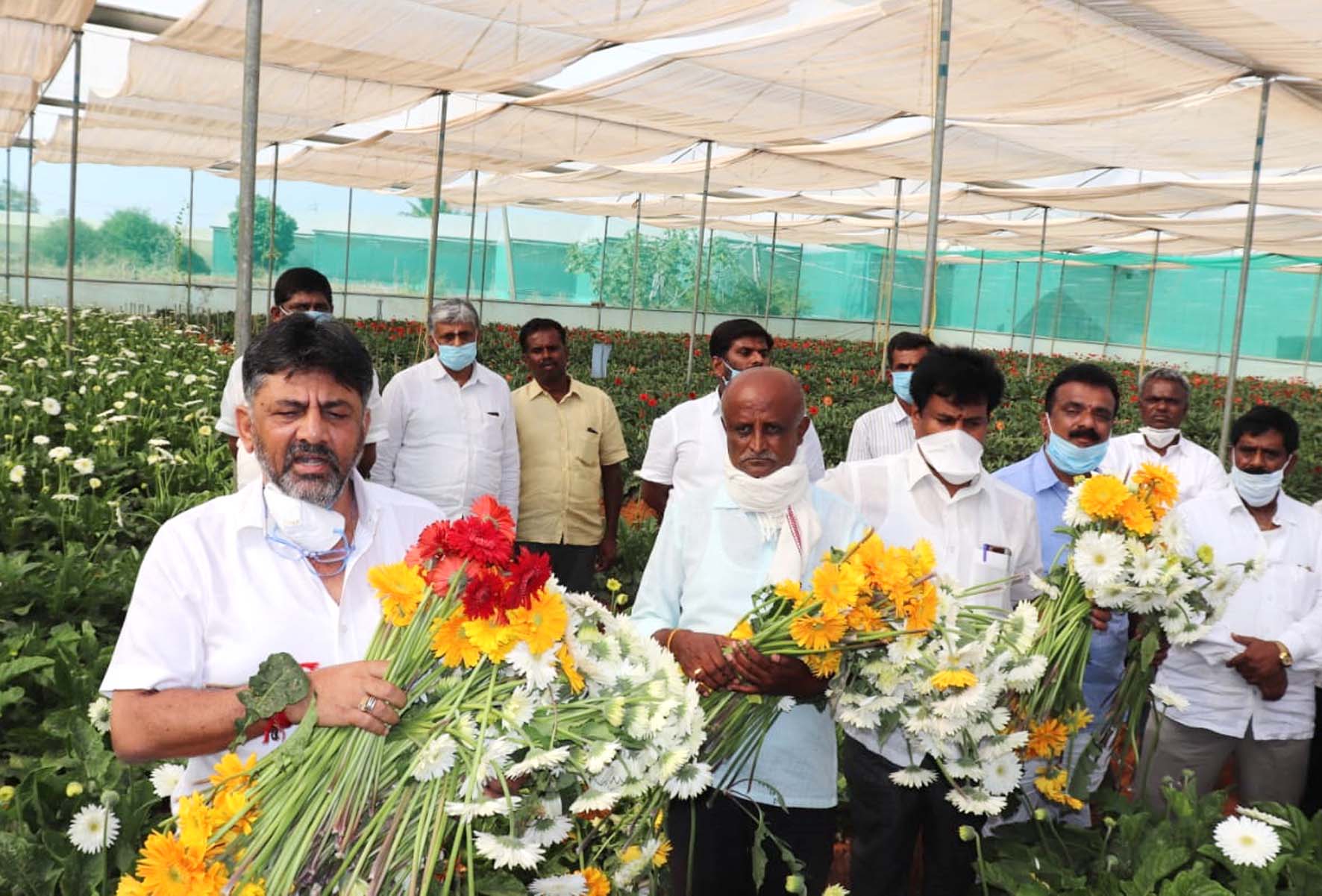 ರೈತರ ಬೆಳೆಗಳಿಗೆ ಕೂಡಲೇ ಬೆಂಬಲ ಬೆಲೆ ಘೋಷಿಸಿ: ಡಿ.ಕೆ.ಶಿವಕುಮಾರ್ ಒತ್ತಾಯ