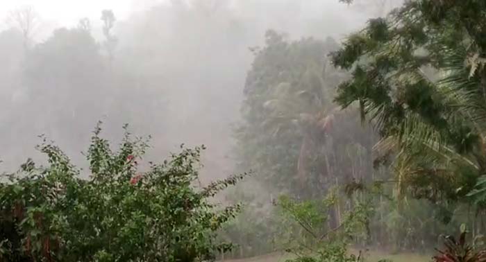 ಚಿಕ್ಕಮಗಳೂರು: ಆಲಿಕಲ್ಲು ಸಹಿತ ಧಾರಾಕಾರ ಮಳೆ