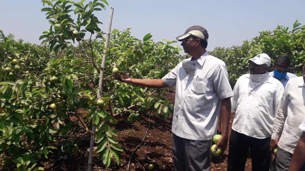 ಲಾಕ್‍ಡೌನ್ ಸಂಕಷ್ಟ: ರೈತರಿಂದ 30 ಟನ್ ಹಣ್ಣು ಖರೀದಿಸಿ ಬಡವರಿಗೆ ಹಂಚಿದ ಸತೀಶ್ ಜಾರಕಿಹೊಳಿ