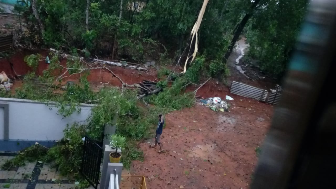 ದ.ಕ.ಜಿಲ್ಲಾದ್ಯಂತ ಗಾಳಿ, ಮಳೆ