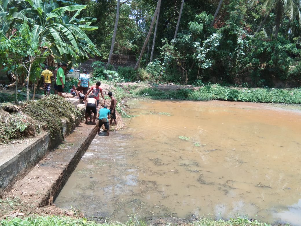 ಲಾಕ್‌ಡೌನ್ ಸದುಪಯೋಗ: ಜಪ್ಪಿನಮೊಗರು ಬಳಿ ಕೆರೆ ಸ್ವಚ್ಛಗೊಳಿಸಿದ ಸ್ಥಳೀಯರು