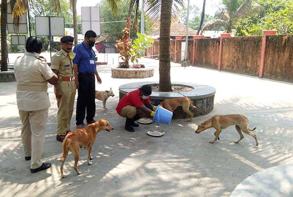 ಉಡುಪಿ ಜಿಲ್ಲಾಡಳಿತದಿಂದ ಪ್ರಾಣಿ-ಪಕ್ಷಿಗಳಿಗೆ ಆಹಾರ, ನೀರು