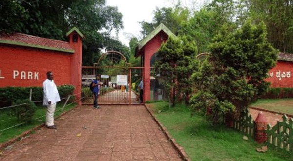 ಪಿಲಿಕುಳ ನಿಸರ್ಗಧಾಮದ ಪ್ರಾಣಿಗಳಿಗೂ ತಟ್ಟಿದ ಲಾಕ್‌ಡೌನ್ ಬಿಸಿ!