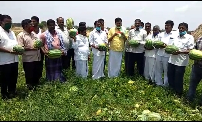 ರೈತರಿಂದ 10 ಟನ್ ಕಲ್ಲಂಗಡಿ, 3 ಟನ್ ಟೊಮಾಟೋ ಖರೀದಿಸಿದ ವೈಎಸ್‍ವಿ ದತ್ತ