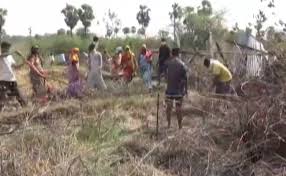 ಮನ್ರೇಗಾ ಯೋಜನೆಯಲ್ಲಿ ಕಾರ್ಮಿಕರಾಗಿ ದುಡಿಯುತ್ತಿದ್ದಾರೆ ಶಿಕ್ಷಕರು, ಇಂಜಿನಿಯರ್!