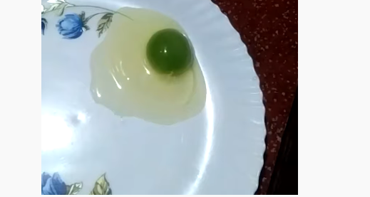 ಕೇರಳದಲ್ಲಿ ಕೋಳಿ ಮೊಟ್ಟೆಯ ಒಳಗಡೆ ಹಳದಿ ಬದಲು ಹಸಿರು ಬಣ್ಣ!