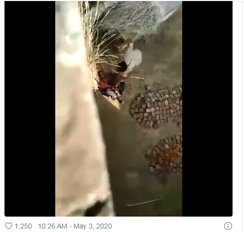 ಬೂಟಿನಿಂದ ಒದ್ದು, ಲಾಠಿಯಿಂದ ಹಲ್ಲೆ: ವ್ಯಕ್ತಿಗೆ ಉ.ಪ್ರದೇಶ ಪೊಲೀಸರು ಚಿತ್ರಹಿಂಸೆ ನೀಡುತ್ತಿರುವ ವಿಡಿಯೋ ವೈರಲ್