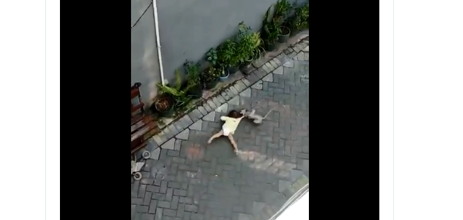 ಆಟಿಕೆ ಬೈಕ್ ನಲ್ಲಿ ಬಂದು ಹೆಣ್ಣು ಮಗುವನ್ನು ಎಳೆದುಕೊಂಡು ಹೋದ ಕೋತಿ: ಆಘಾತಕಾರಿ ವಿಡಿಯೋ ವೈರಲ್