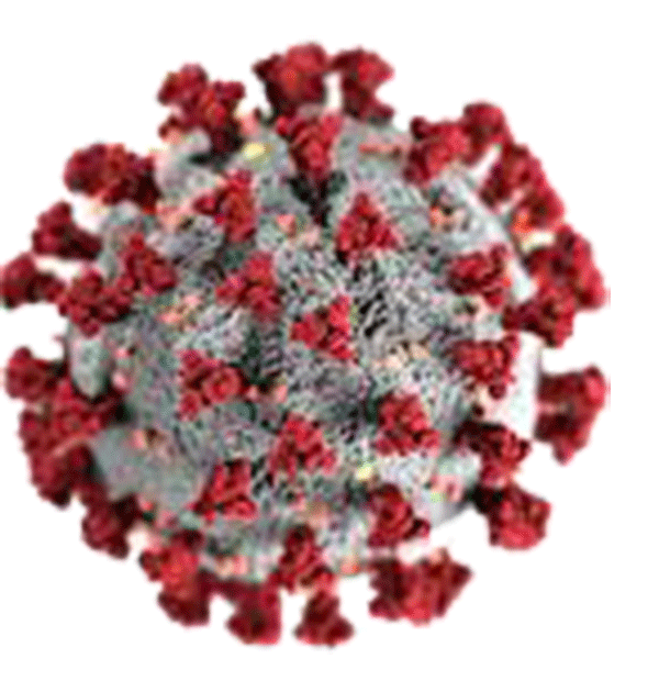 ದೇಶದಲ್ಲಿ 50,000ದತ್ತ ಹೆಜ್ಜೆ ಹಾಕುತ್ತಿರುವ ಕೋವಿಡ್-19 ಪ್ರಕರಣಗಳ ಸಂಖ್ಯೆ