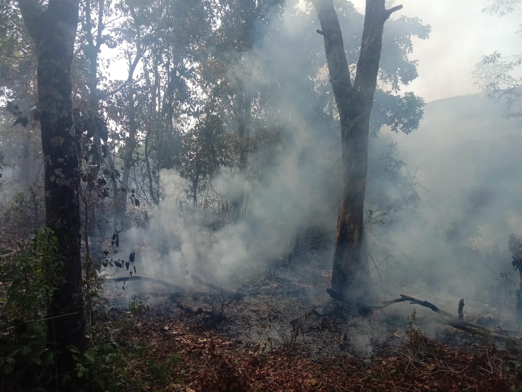 ಹೆಬ್ರಿ: ಸೋಮೇಶ್ವರ ಅಭಯಾರಣ್ಯದಲ್ಲಿ ಬೆಂಕಿ