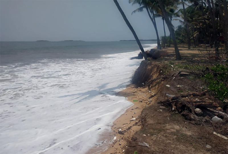 ಕುತ್ಪಾಡಿಯಲ್ಲಿ ಮತ್ತೆ ಕಡಲ್ಕೊರೆತ: ಐದಾರು ತೆಂಗು ಸಮುದ್ರಪಾಲಾಗುವ ಭೀತಿ