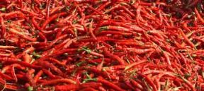 ಹಸಿರು ಮೆಣಸು ಅಥವಾ ಕೆಂಪು ಮೆಣಸು:ನಿಮ್ಮ ಆರೋಗ್ಯಕ್ಕೆ ಯಾವುದು ಒಳ್ಳೆಯದು?