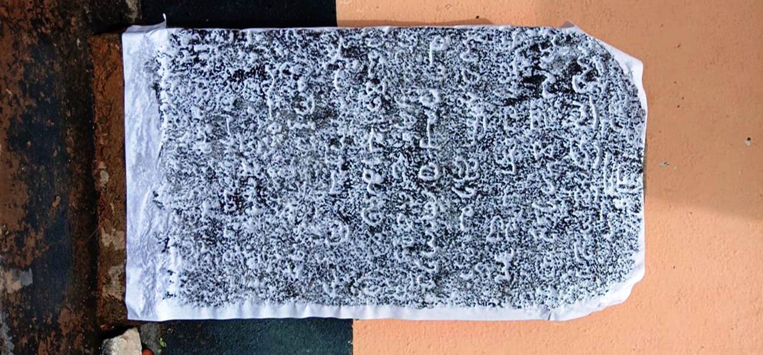 ಕುಂಜೂರಿನಲ್ಲಿ 13ನೇ ಶತಕದ  ತುಳು ಶಾಸನ: ಇತಿಹಾಸ ಸಂಶೋಧಕರಿಂದ ಓದುವ ಪ್ರಯತ್ನ