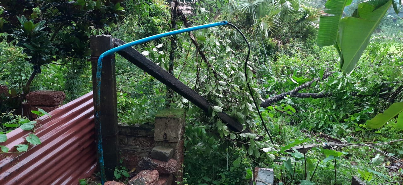 ದ.ಕ. ಜಿಲ್ಲಾದ್ಯಂತ ಭಾರೀ ಮಳೆ : ಮನೆಗಳಿಗೆ ಹಾನಿ, ತಡೆಗೋಡೆ ಕುಸಿತ, ಉರುಳಿದ ಮರ-ವಿದ್ಯುತ್ ಕಂಬ