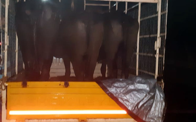 ಜಾನುವಾರು ವ್ಯಾಪಾರಿಗೆ ಹಲ್ಲೆ ಪ್ರಕರಣ : ಆರು ಮಂದಿ ಆರೋಪಿಗಳು ಸೆರೆ