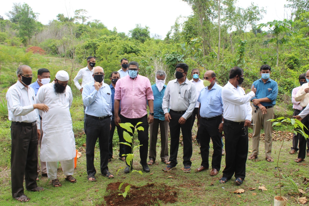 ಪಿ.ಎ. ಕಾಲೇಜ್ ಆಫ್ ಇಂಜಿನಿಯರಿಂಗ್‍ನಲ್ಲಿ ವನಮಹೋತ್ಸವ