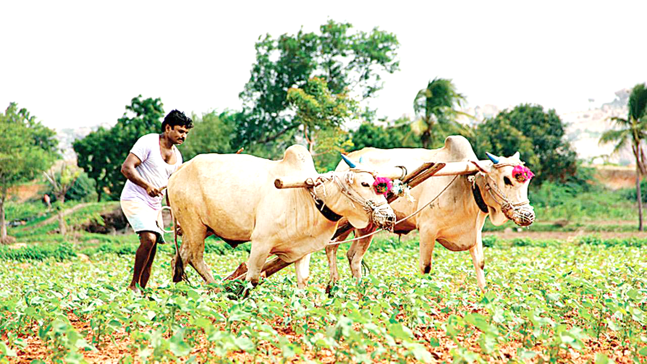 ನೆಲದ ಒಡೆಯ ಈಗ ಕೂಲಿಕಾರ