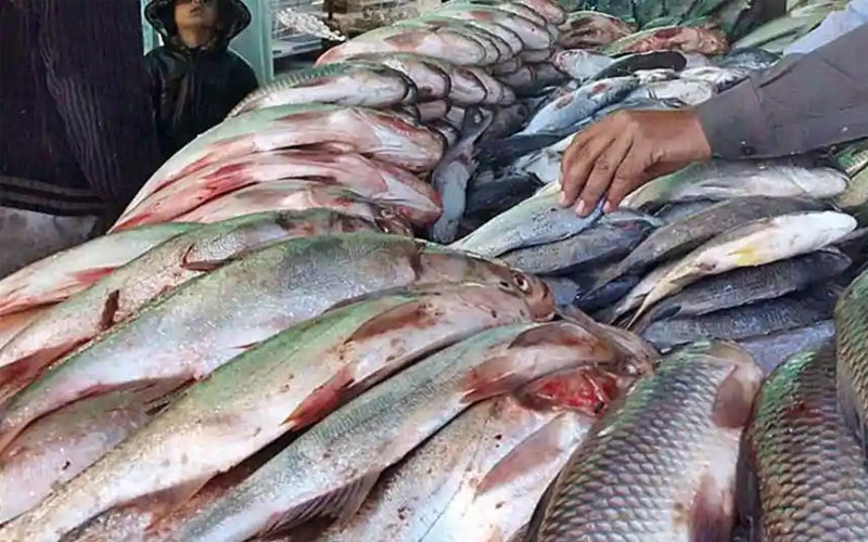 ಲಾಕ್‌ಡೌನ್: ಚೆನ್ನೈನಲ್ಲಿ ಮಾಂಸ, ಮೀನು ಮಾರಾಟ ನಿಷೇಧ