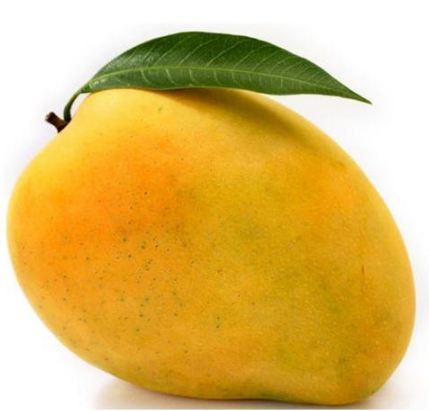 ಮಧುಮೇಹಿಗಳು ಮಾವಿನ ಹಣ್ಣನ್ನು ತಿನ್ನಬಹುದೇ?