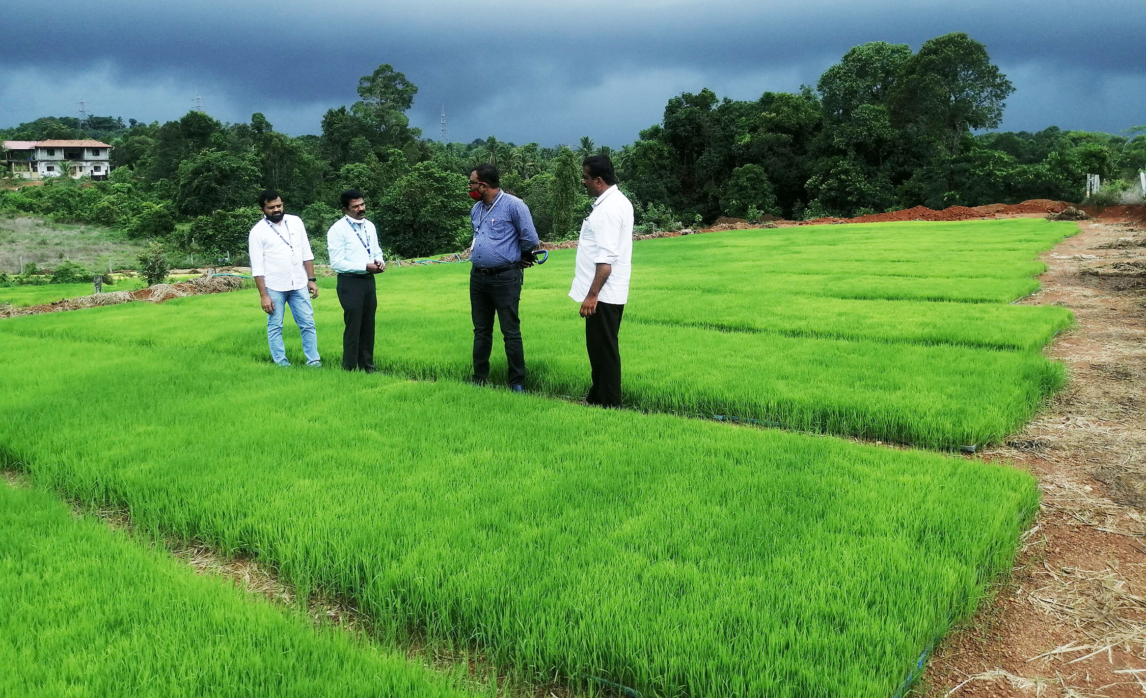 ಹಿರಿಯಡ್ಕ: ಭತ್ತದ ಚಾಪೆ ನೇಜಿ ತಾಕಿಗೆ ಕೃಷಿ ವಿಜ್ಞಾನಿಗಳ ಭೇಟಿ