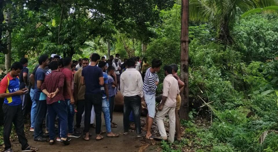 ಮೋಂಟುಗೋಳಿ: ವಿದ್ಯುತ್ ಶಾಕ್ ತಗುಲಿ ಮೂರು ಹಸುಗಳ ಸಾವು