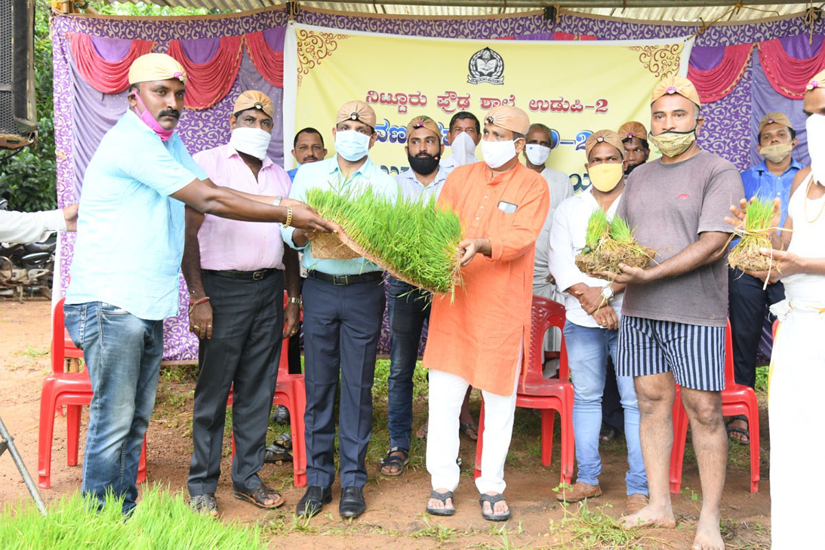 ಉಡುಪಿ: ನಿಟ್ಟೂರಿನ ಹಡಿಲು ಗದ್ದೆಗಳಲ್ಲಿ ಮತ್ತೆ ಕೃಷಿ ಅಭಿಯಾನ
