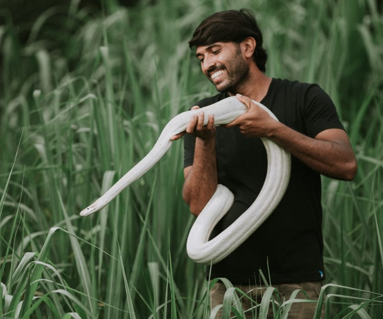 ಬಂಟ್ವಾಳ: ಅಪರೂಪದ ಬಿಳಿ ಬಣ್ಣದ ಹೆಬ್ಬಾವು ಸೆರೆ