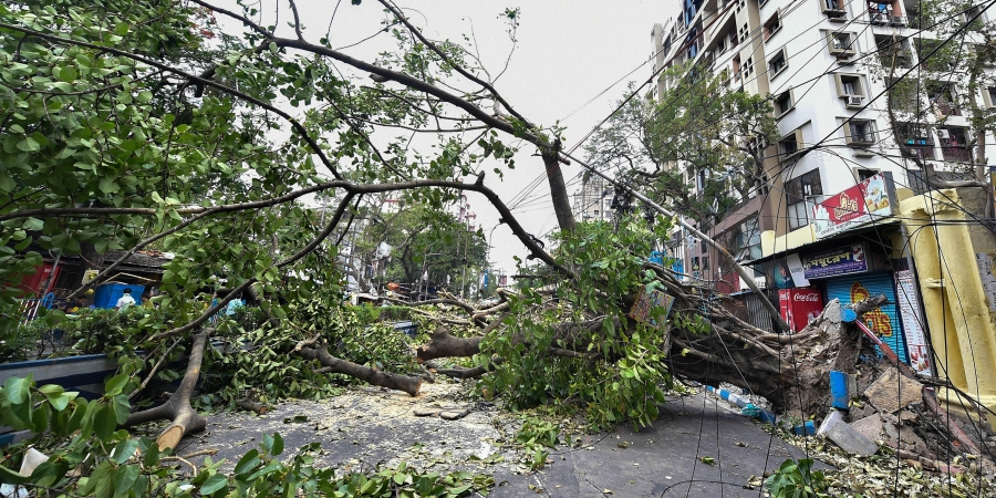 ಬೆಂಗಳೂರಿನಲ್ಲಿ 50ಕ್ಕೂ ಹೆಚ್ಚು ಮರಗಳ ಮಾರಣಹೋಮ: ಪರಿಸರ ಪ್ರೇಮಿಗಳು, ಗ್ರಾಮಸ್ಥರಿಂದ ಪ್ರತಿಭಟನೆ