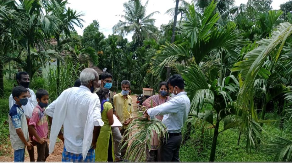 ಮಂಗಳೂರು: ​ಭತ್ತದ ಗದ್ದೆಗೆ ಭೇಟಿ ನೀಡಿದ ಕೃಷಿ ವಿಜ್ಞಾನಿಗಳು