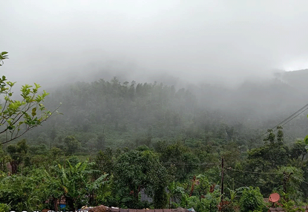 ​ಮಲೆನಾಡಿನಲ್ಲಿ ಮುಂದುವರಿದ ಧಾರಾಕಾರ ಮಳೆ