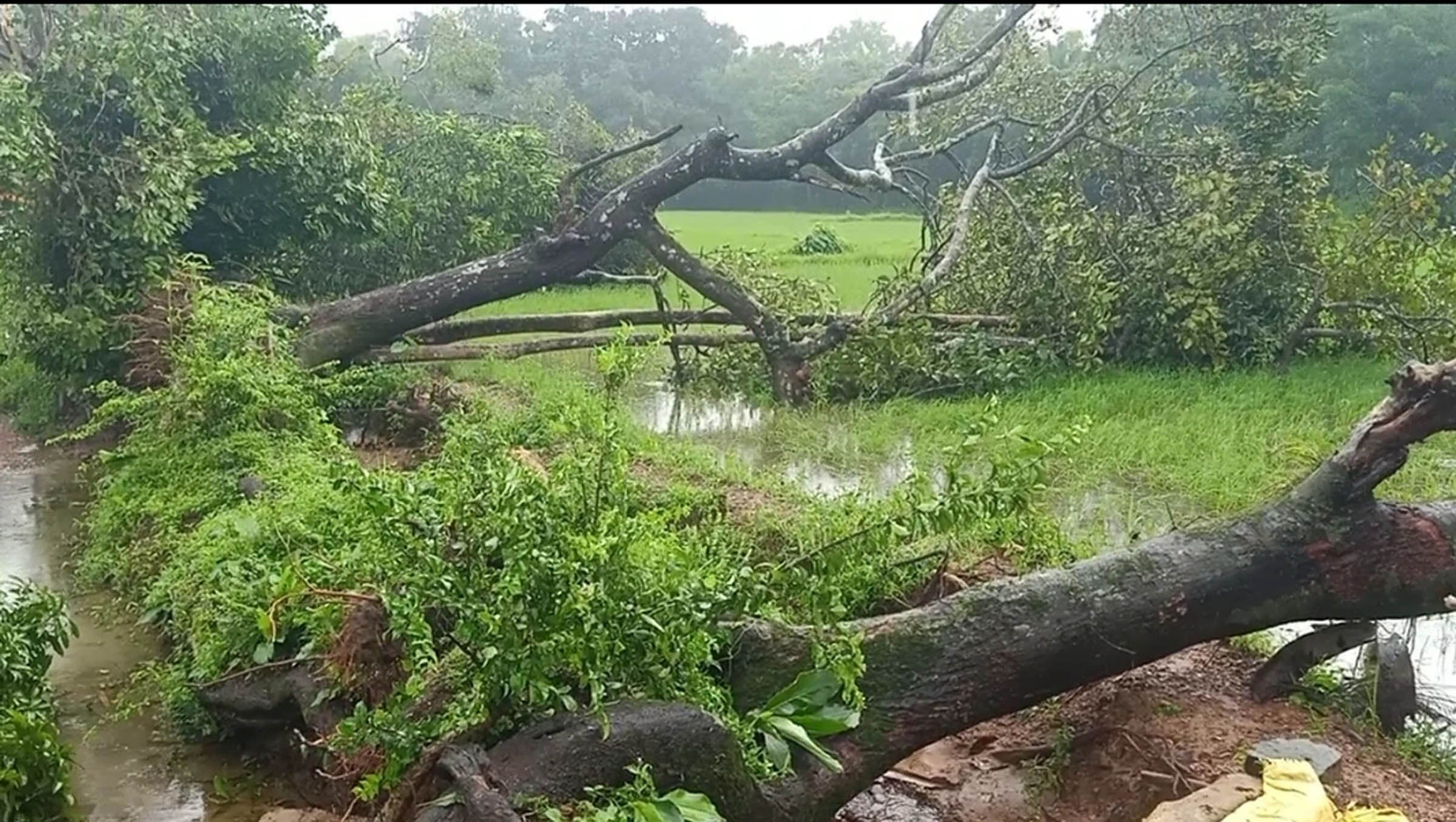 ಕಾಪು: ಭಾರೀ ಗಾಳಿ, ಮಳೆ; ಅಪಾರ ನಷ್ಟ