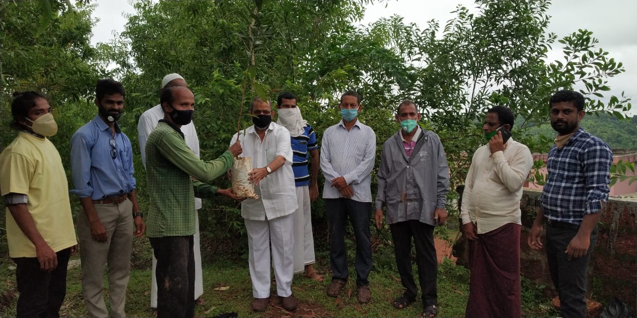 ಕೊಣಾಜೆ: ಹಣ್ಣು ಹಂಪಲು ಗಿಡ ನೆಡುವ ಕಾರ್ಯಕ್ಕೆ ಚಾಲನೆ