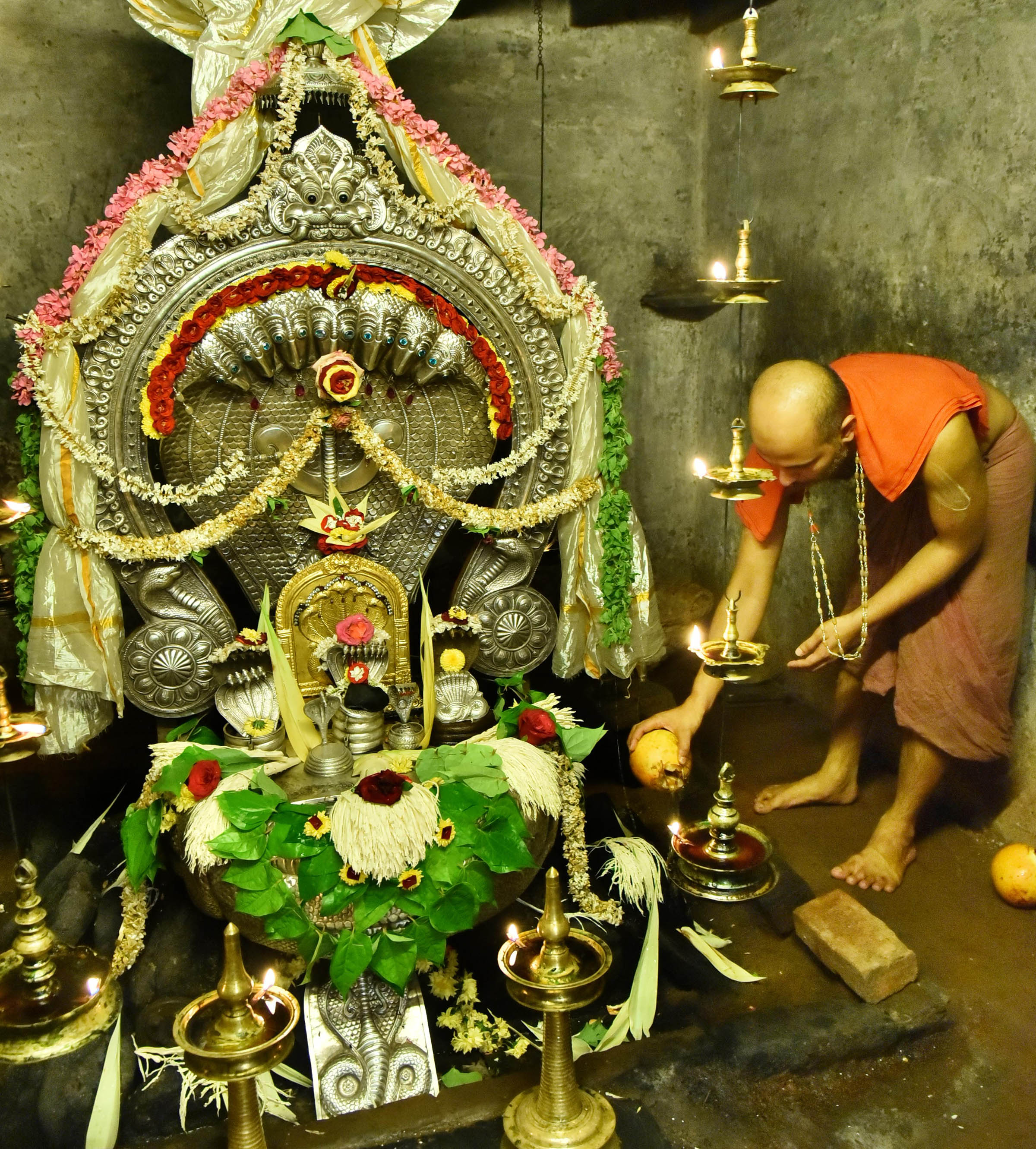 ಉಡುಪಿ ಜಿಲ್ಲೆಯಲ್ಲಿ ಸರಳವಾಗಿ ನಡೆದ ನಾಗರಪಂಚಮಿ