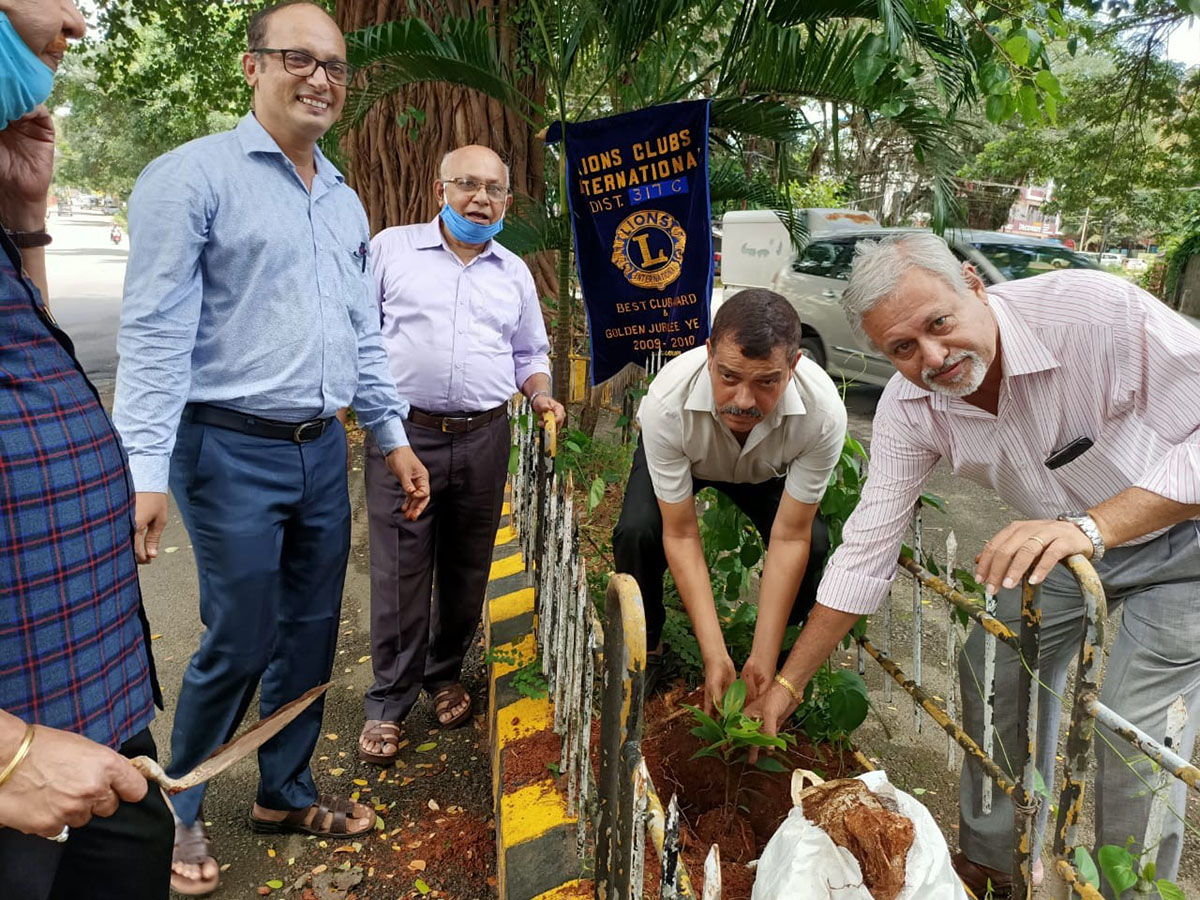 ಉಡುಪಿ: ಔಷಧೀಯ ಗಿಡ ನೆಡುವ ಕಾರ್ಯಕ್ರಮಕ್ಕೆ ಚಾಲನೆ