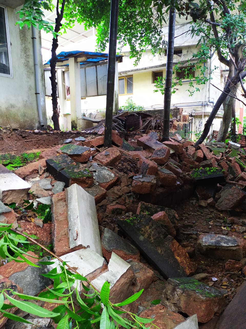 ದ.ಕ.: ತಗ್ಗಿದ ಮಳೆ; ಅಲ್ಲಲ್ಲಿ ಹಾನಿ