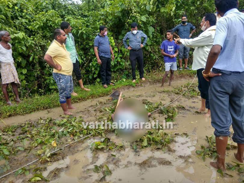 ಉಡುಪಿ: ವಿದ್ಯುತ್ ತಂತಿ ತುಂಡಾಗಿ ಬಿದ್ದು ರೈತ ಮೃತ್ಯು