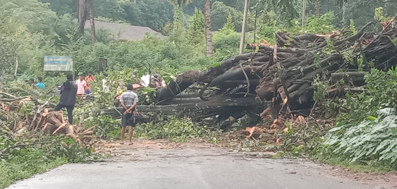 ಚಿಕ್ಕಮಗಳೂರು: ಕ್ಷೀಣಿಸಿದ ಮಳೆಯ ಆರ್ಭಟ; ಜನಜೀವನ ಸಹಜ ಸ್ಥಿತಿಯತ್ತ