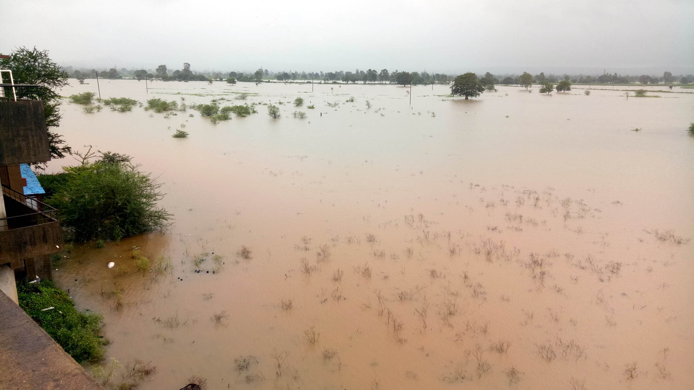 ಪ್ರವಾಹ: ಬೆಳಗಾವಿ ಜಿಲ್ಲೆಯಲ್ಲಿ 43 ಸಾವಿರಕ್ಕೂ ಅಧಿಕ ಹೆಕ್ಟೇರ್ ಬೆಳೆಗಳು ಮುಳುಗಡೆ