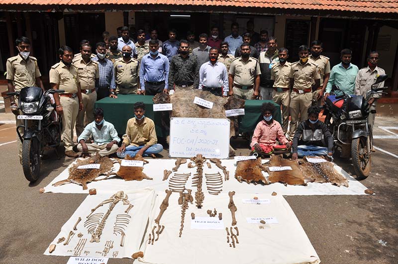 ಪ್ರಾಣಿಗಳ ಉಗುರು, ಮೂಳೆ, ಚರ್ಮಗಳ ಸಂಗ್ರಹಿಸಿ ಮಾರಾಟ: ನಾಲ್ವರು ಆರೋಪಿಗಳ ಬಂಧನ