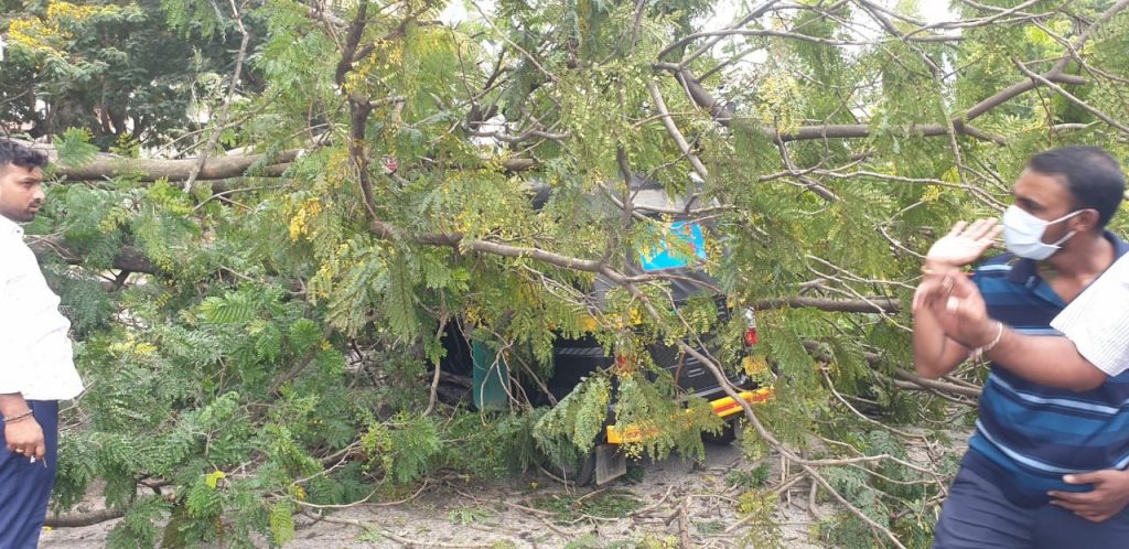 ಆಟೋ ಮೇಲೆ ಬಿದ್ದ ಭಾರೀ ಗಾತ್ರದ ಮರ: ಚಾಲಕ ಅಪಾಯದಿಂದ ಪಾರು