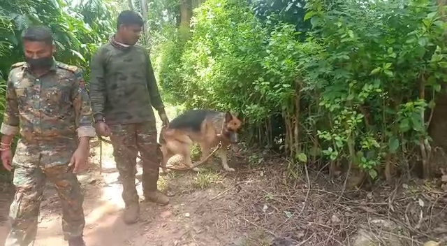 ಹುಲಿ ಹತ್ಯೆ ಆರೋಪ: ಓರ್ವನ ಬಂಧನ, ಮೂವರು ಪರಾರಿ