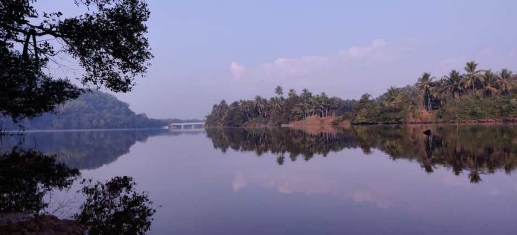 ನೇತ್ರಾವತಿ, ಸ್ವರ್ಣ ನದಿಗಳಲ್ಲಿ ಆ್ಯಂಟಿಬಯೋಟಿಕ್ ಅಂಶ ಪತ್ತೆ