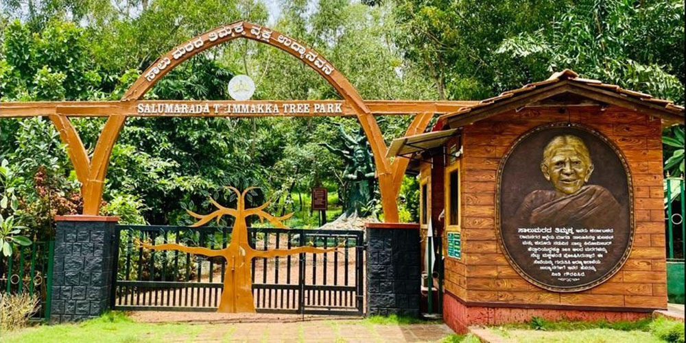 ಮಣಿಪಾಲದ ಸಾಲುಮರದ ತಿಮ್ಮಕ್ಕ ಟ್ರೀಪಾರ್ಕ್ಗೆ ಹೊಸ ರೂಪ ಮಣಿಪಾಲದ ಸಾಲುಮರದ ತಿಮ್ಮಕ್ಕ ಟ್ರೀಪಾರ್ಕ್ಗೆ ಹೊಸ ರೂಪ