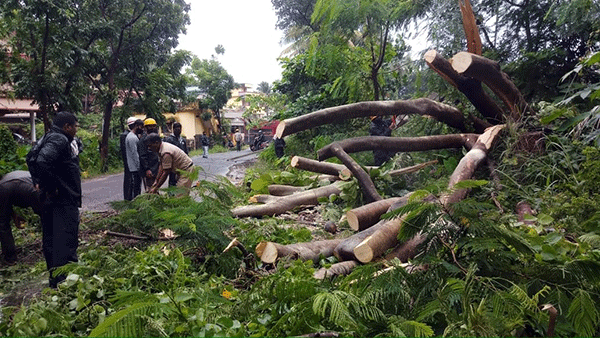 ಮಂಗಳೂರು: ಭಾರೀ ಗಾಳೆ ಮಳೆ; ಹಾನಿ