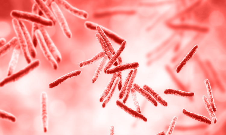 ಕೊರೋನಗಿಂತಲೂ ಭಯಾನಕ: 15 ಲಕ್ಷ ಜನರನ್ನು ಬಲಿ ಪಡೆಯುತ್ತಿದೆ ಈ ಸಾಂಕ್ರಾಮಿಕ ರೋಗ